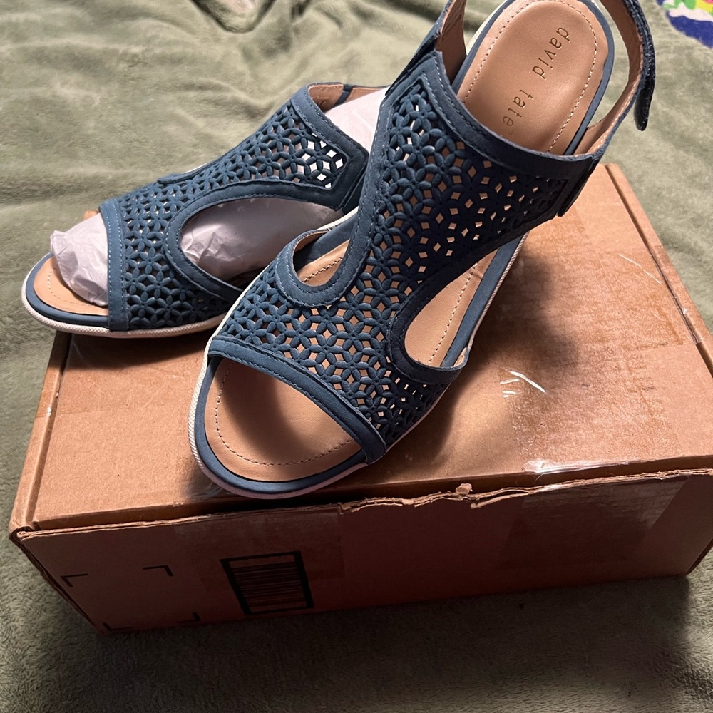 David Tate Women's Blue Open-Toe Sandals